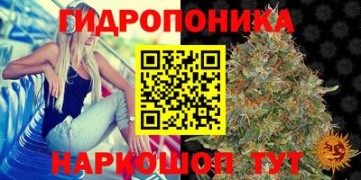 apvp Ставрополь