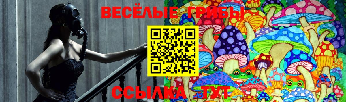 даркнет сайт  Псилоцибиновые грибы прущие грибы  Вход с VPN  Уварово 